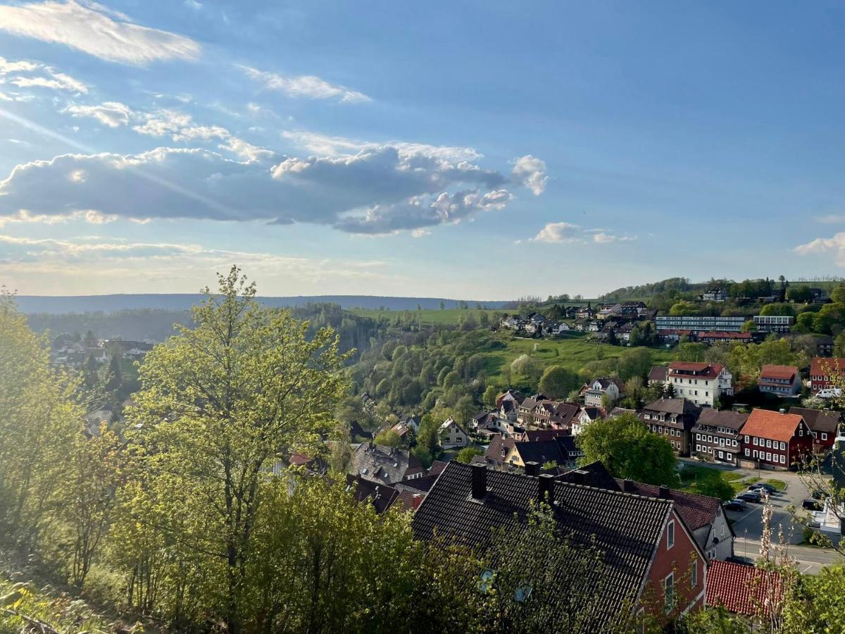 Ferienwohnung Clyde Sankt-Andreasberg Extérieur photo